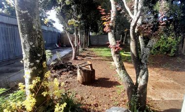 Arriendo en excelente ubicación en  Isla Teja a pasos de calle los Robles