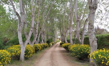 Casa  Santo Domingo sector Las Vertientes