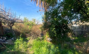 FERIA DE FRUTAS Y VERDURAS