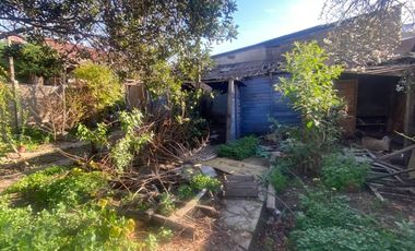 FERIA DE FRUTAS Y VERDURAS