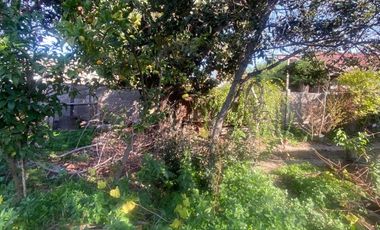 FERIA DE FRUTAS Y VERDURAS