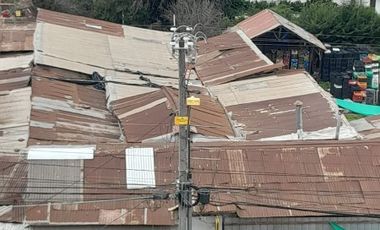 FERIA DE FRUTAS Y VERDURAS
