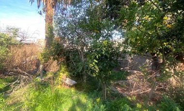 FERIA DE FRUTAS Y VERDURAS