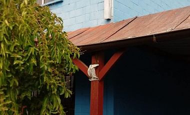 CASA EN PASAJE CERRADO