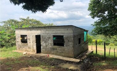 Venta Finca  Productiva Mariquita 14 HA