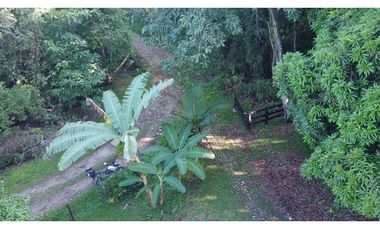 Venta Finca  Productiva Mariquita 14 HA