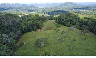 Venta Finca  Productiva Mariquita 14 HA