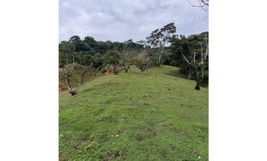 Venta Finca  Productiva Mariquita 14 HA