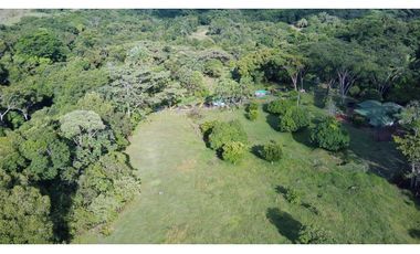 Venta Finca  Productiva Mariquita 14 HA