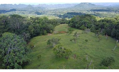 Venta Finca  Productiva Mariquita 14 HA