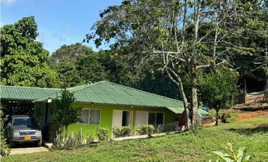 Venta Finca  Productiva Mariquita 14 HA