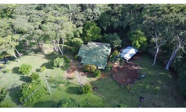 Venta Finca  Productiva Mariquita 14 HA