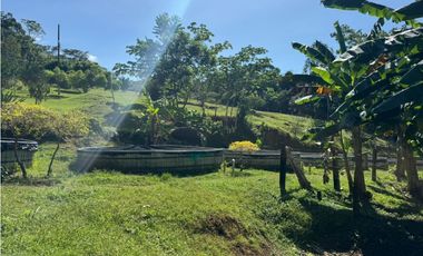 Venta Finca  Productiva Mariquita 14 HA