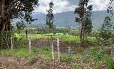 ARRIENDO CASA CAMPESTRE UN NIVEL SIN MUEBLES - VILLA DE LEYVA