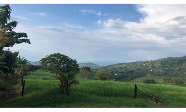 Venta Finca Santa Rosa de Cabal  211200 Mts2 (33 cuadras)