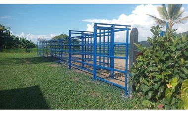 Venta Finca Santa Rosa de Cabal  211200 Mts2 (33 cuadras)