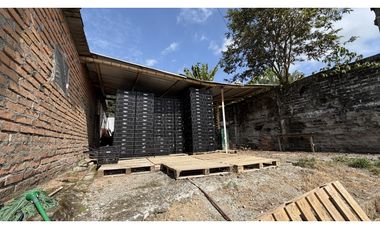 VENTA DE FINCA EN MANIZALES, CALDAS, COLOMBIA