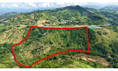 VENTA DE FINCA EN MANIZALES, CALDAS, COLOMBIA