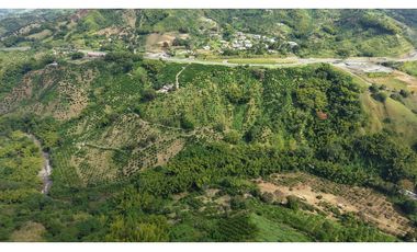 VENTA DE FINCA EN MANIZALES, CALDAS, COLOMBIA