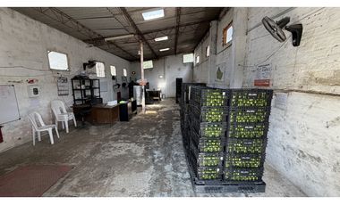 VENTA DE FINCA EN MANIZALES, CALDAS, COLOMBIA