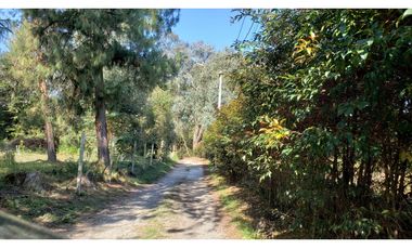 Venta de lote para casa en Llanogrande, Rionegro  DL