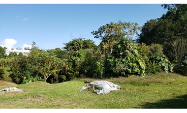 Venta de lote para casa en Llanogrande, Rionegro  DL