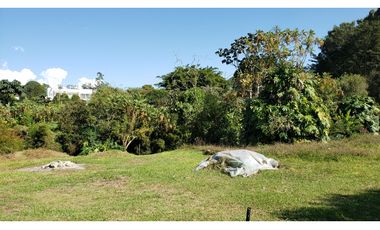 Venta de lote para casa en Llanogrande, Rionegro 8471150 DL