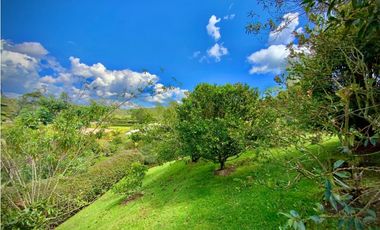 VENTA CASA CAMPESTRE PARCELACIÓN VIA SAN ANTONIO LA CEJA