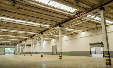 Nave Industrial - Alquiler - Pablo Podestá