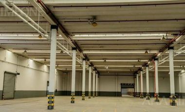 Nave Industrial - Alquiler - Pablo Podestá