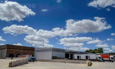 Nave Industrial - Alquiler - Pablo Podestá