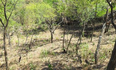 Terreno en Cuesta Blanca