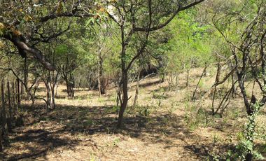 Terreno en Cuesta Blanca