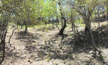 Terreno en Cuesta Blanca