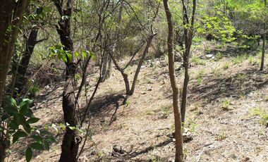 Terreno en Cuesta Blanca