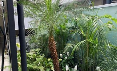 LA HERRADURA, 1 PISO, moderna, excelente estado