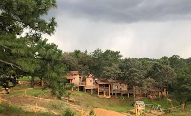 Terreno Rustico 1 Hectarea en ABBA PARK Concepcion de Buenos Aires, Jal.