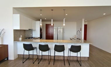 Penthouse ejecutivo amueblado. Solución llave en mano para reubicación en Metep