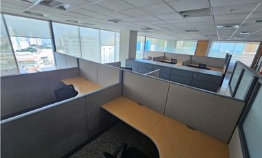 CALLE 50 / TORRE GLOBAL BANK / 762M2 / CON DIVISIONES