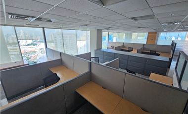 CALLE 50 / TORRE GLOBAL BANK / 762M2 / CON DIVISIONES