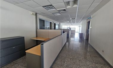 CALLE 50 / TORRE GLOBAL BANK / 762M2 / CON DIVISIONES