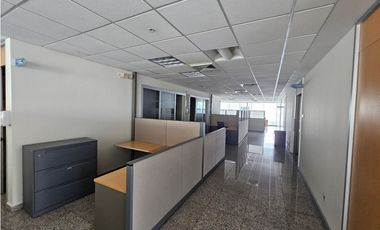 CALLE 50 / TORRE GLOBAL BANK / 762M2 / CON DIVISIONES