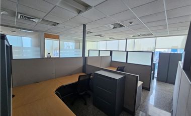 CALLE 50 / TORRE GLOBAL BANK / 762M2 / CON DIVISIONES