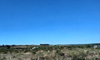 Parcelas cerca de comuna