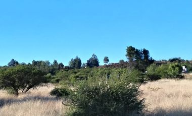 Parcelas cerca de comuna