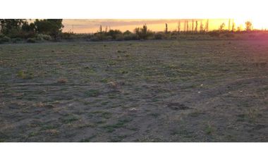 VENTA DE FINCA 10 HAS Y 1458 M2- LA CENTRAL, RIVADAVIA, MZA