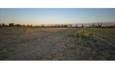 VENTA DE FINCA 10 HAS Y 1458 M2- LA CENTRAL, RIVADAVIA, MZA