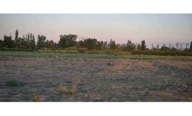 VENTA DE FINCA 10 HAS Y 1458 M2- LA CENTRAL, RIVADAVIA, MZA