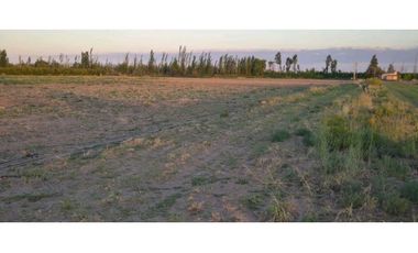 VENTA DE FINCA 10 HAS Y 1458 M2- LA CENTRAL, RIVADAVIA, MZA