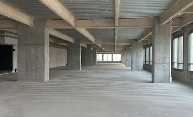 IB-CM0755 - Oficina en Renta en Reforma, 3,243 m2.